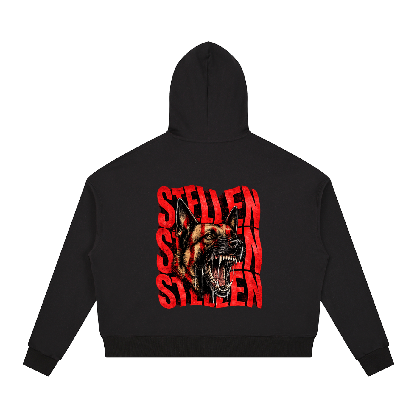 Contrast Drawstring Hoodie