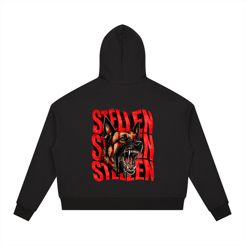 Contrast Drawstring Hoodie